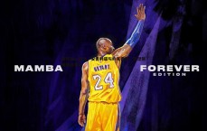 斗球体育直播-新月雄心勃勃，安吉利诺与约克雷斯、努涅斯成重点目标