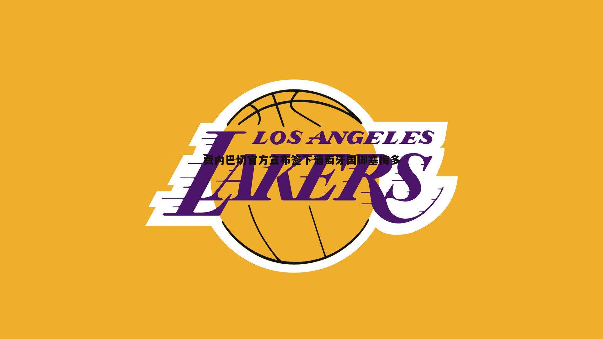 费内巴切官方宣布签下葡萄牙国脚塞梅多