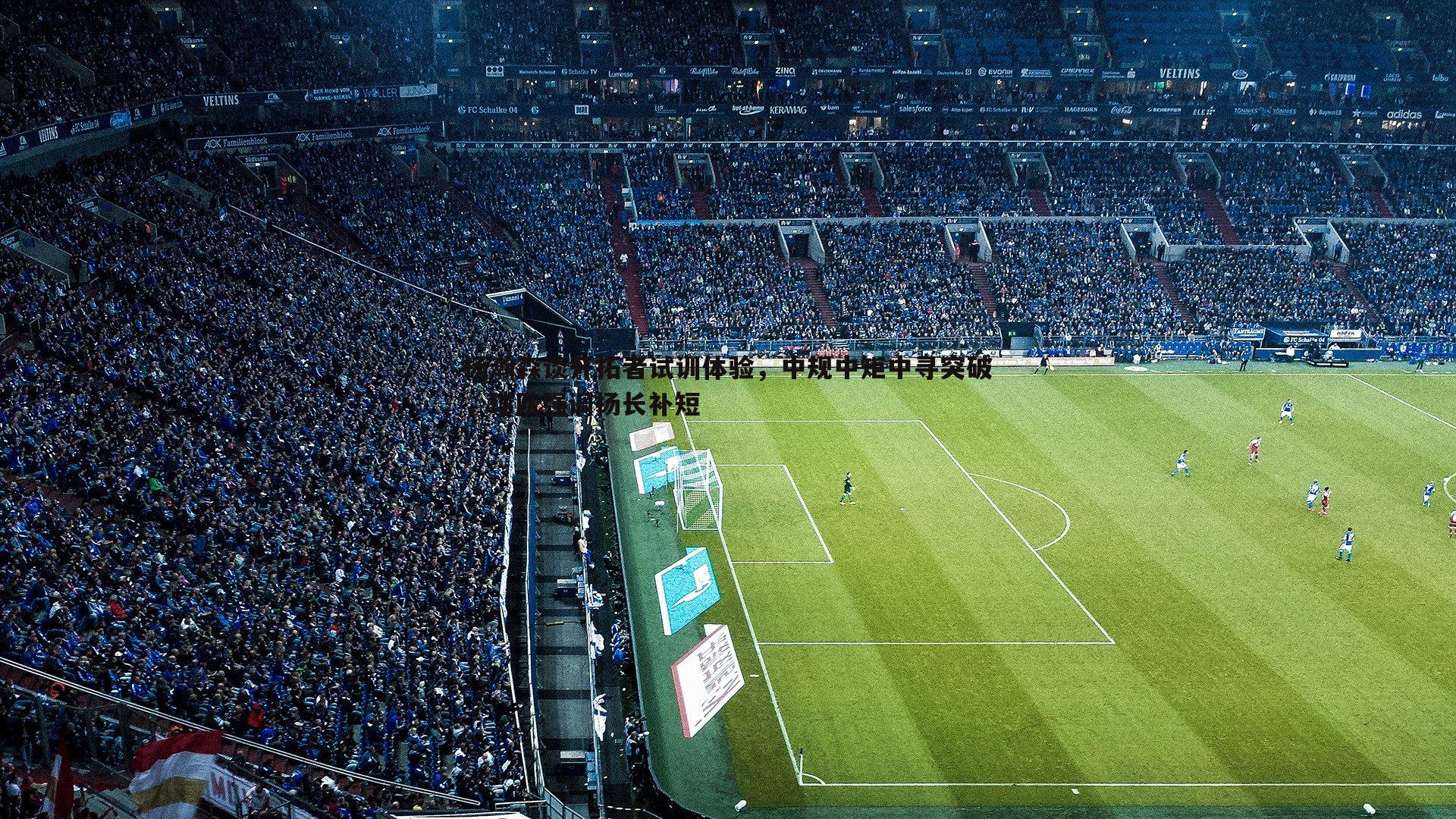 杨瀚森谈开拓者试训体验，中规中矩中寻突破，球队强调扬长补短